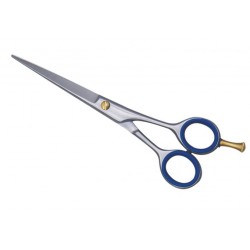 Barber Scissors